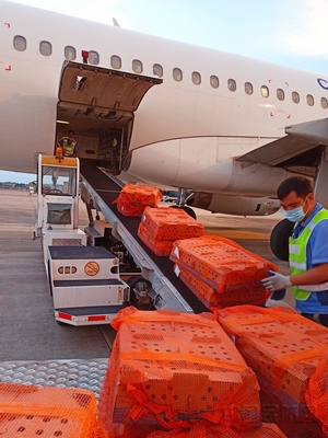 柳州機場貨運:特殊旅客&ldquo;雞苗&rdquo;運輸背后的故事